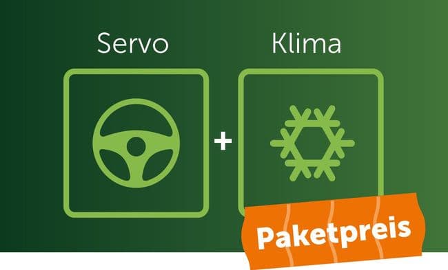 Serienausstattung Komfortpaket mit Klimaanlage und Servolenkung für ARI 902 und Bruni Cargo + Comfort
