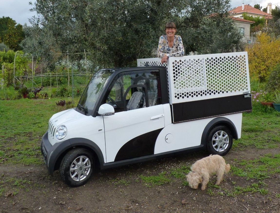 ARI 458 Pritsche L z kratownicą do przewozu liści w użyciu w Portugalii