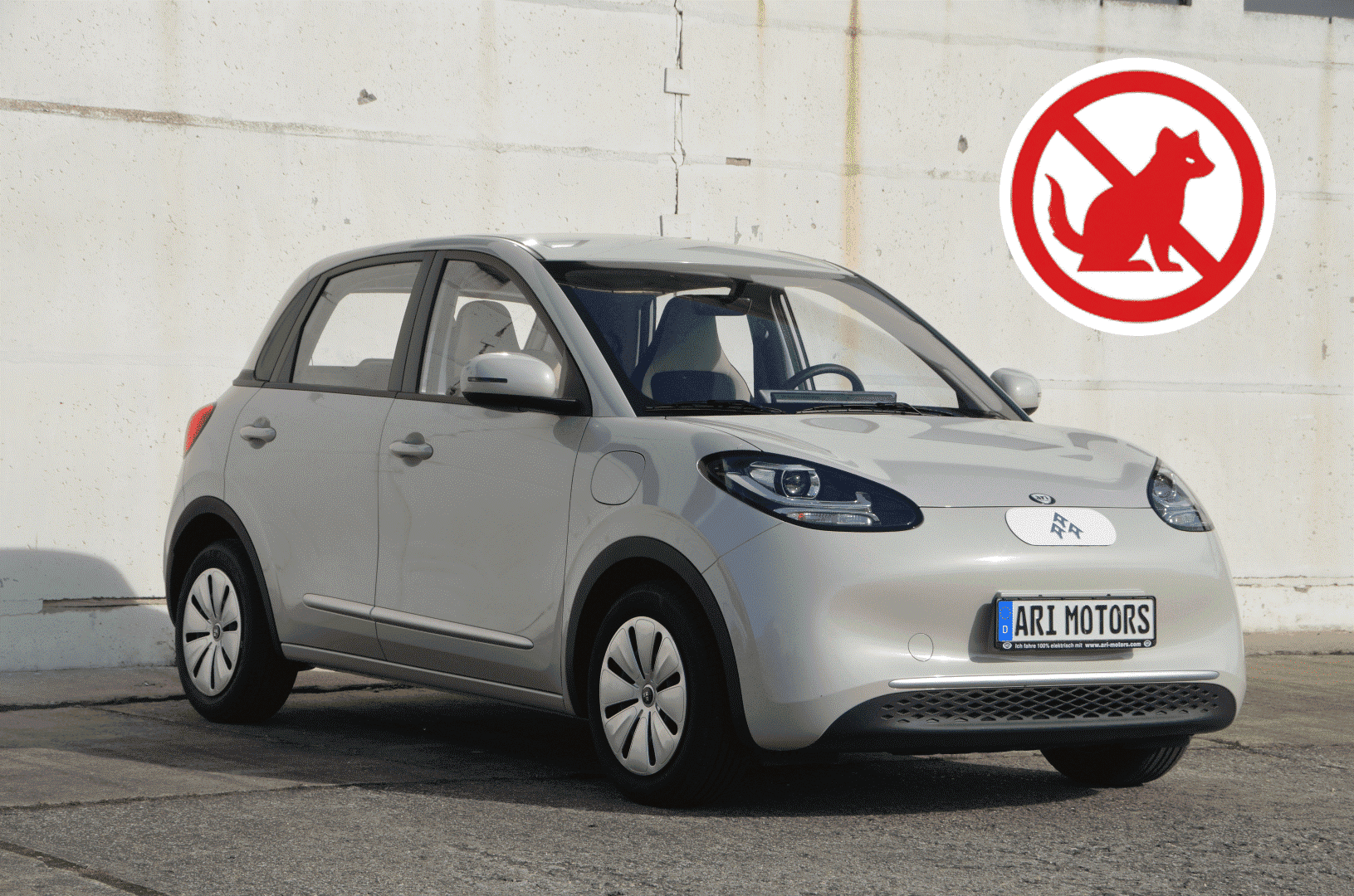 Marderschutz beim Elektroauto: Warum Vorsorge bei ARI Bruni, ARI Poly und ARI 458 Pro besonders wichtig ist
